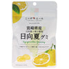 JA Zennoh Nippon Ale Miyazaki Prefecture Hyuga Natsu Gummy 40g x 10 bags 