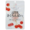 JA Zennoh Nippon Ale Yamagata Prefecture Cherry Gummy 40g x 10 bags [Shipped in Japan]