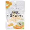 JA Zennoh Nippon Ale Hokkaido Yubari Melon Gummy 40g x 10 bags [Shipped in Japan]