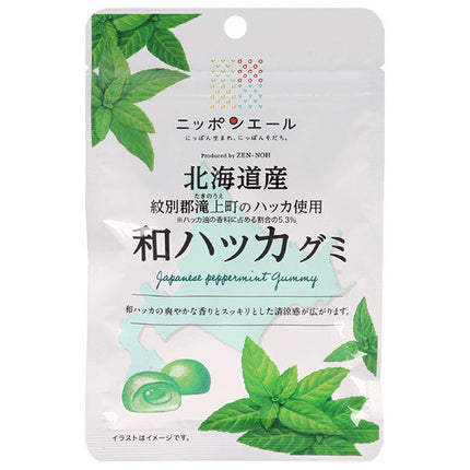 JA全農 ニッポンエール 北海道産和ハッカ グミ 40g×10袋入