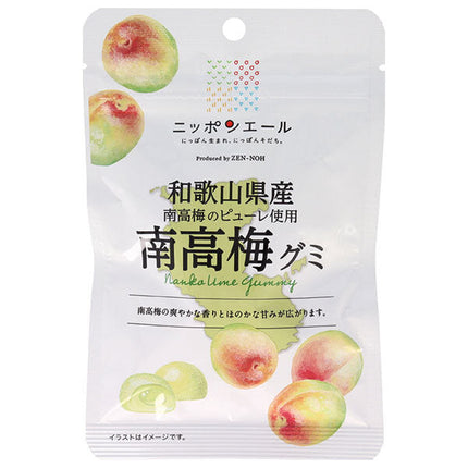 JA Zennoh Nippon Ale Nankoume Gummy from Wakayama Prefecture 40g x 10 bags [Shipped in Japan]