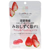 JA Zennoh Nippon Ale Mioshizuku Strawberry Gummy from Shiga Prefecture 40g x 10 bags [Shipped in Japan]