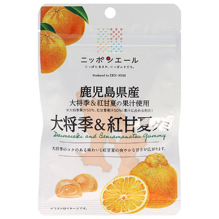 JA全農 ニッポンエール 鹿児島県産大将季&紅甘夏 グミ 40g×10袋入