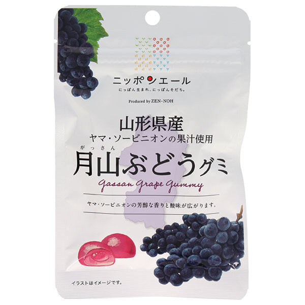 JA Zennoh Nippon Ale Gassan Grape Gummy from Yamagata Prefecture 40g x 10 bags [Shipped in Japan]