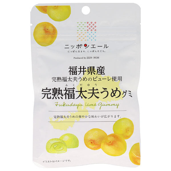 JA Zennoh Nippon Ale, préfecture de Fukui, bonbons gélifiés à la prune Fukutayu entièrement mûre, 40 g x 10 sachets 