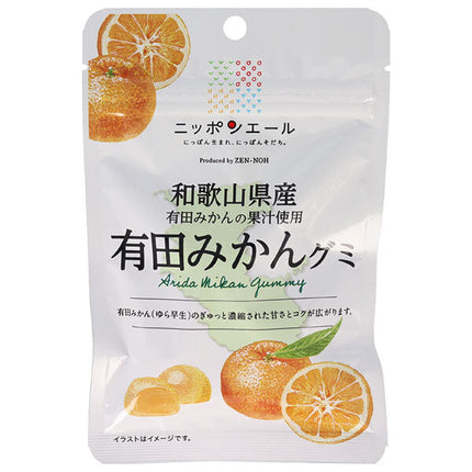 JA全農 ニッポンエール 和歌山県産有田みかん グミ 40g×10袋入