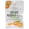 JA Zennoh Nippon Ale Wakayama Prefecture Arita Mandarin Gummy 40g x 10 bags 