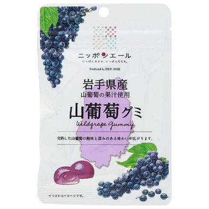 JA全農 ニッポンエール 岩手産山葡萄 グミ 40g×10袋入