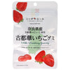 JA Zennoh Nippon Ale Préfecture de Nara Kotoka Gummy Fraise 40 g x 10 sachets 