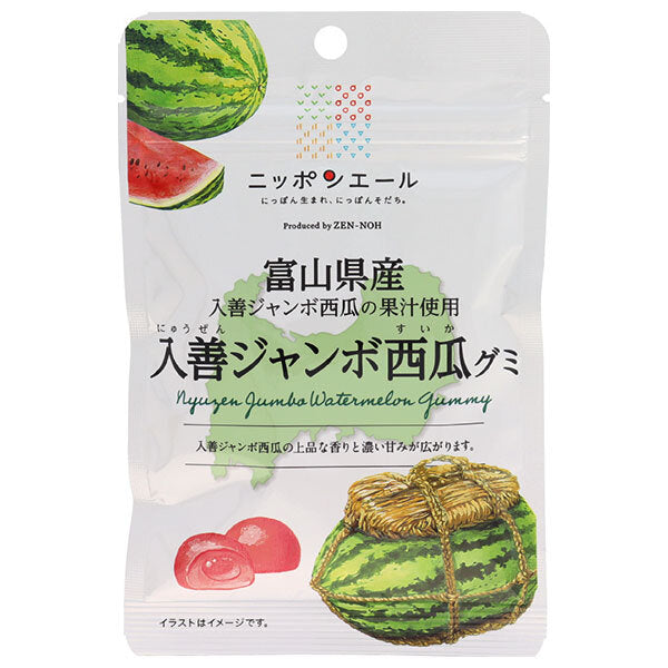 JA Zennoh Nippon Ale Toyama Prefecture Nyuzen Jumbo Watermelon Gummy 40g x 10 bags [Shipped in Japan]