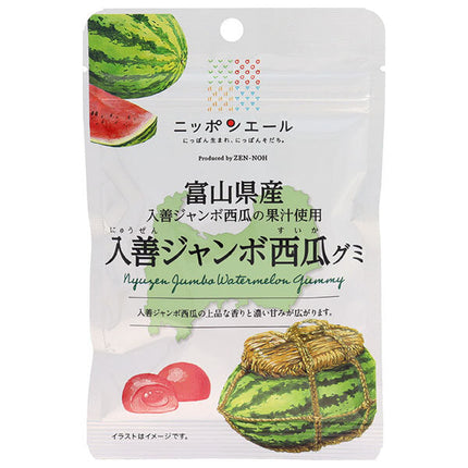 JA Zennoh Nippon Ale Toyama Prefecture Nyuzen Jumbo Watermelon Gummy 40g x 10 bags [Shipped in Japan]