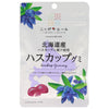 JA Zennoh Nippon Ale Hokkaido Haskap Gummy 40g x 10 bags 
