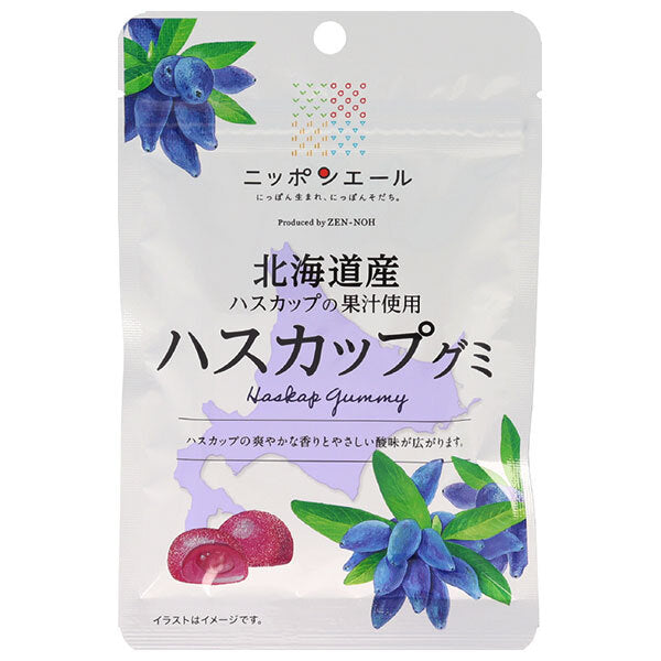 JA Zennoh Nippon Ale Hokkaido Haskap Gummy 40g x 10 bags [Shipped in Japan]