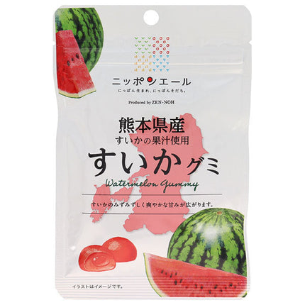 JA Zennoh Nippon Ale Watermelon Gummy from Kumamoto Prefecture 40g x 10 bags [Shipped in Japan]