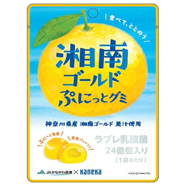 Gommes Kaneka Food Shonan Gold, contenant des bactéries lactiques LABRE, 40g x 10 sachets.