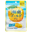 Gommes Kaneka Food Shonan Gold, contenant des bactéries lactiques LABRE, 40g x 10 sachets.