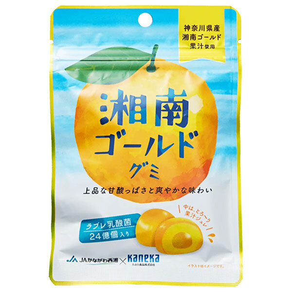Gommes Kaneka Food Shonan Gold, contenant des bactéries lactiques LABRE, 40g x 10 sachets.