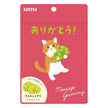 カネカ食品 メッセージグミ ありがとう マスカット 40g袋×10袋入【日本出荷】