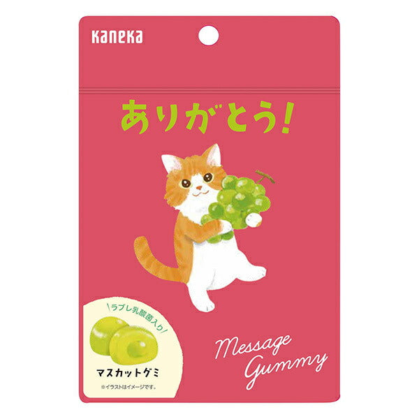 カネカ食品 メッセージグミ ありがとう マスカット 40g袋×10袋入【日本出荷】