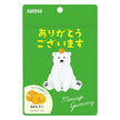 カネカ食品 メッセージグミ ありがとうございます みかん 40g袋×10袋入【日本出荷】
