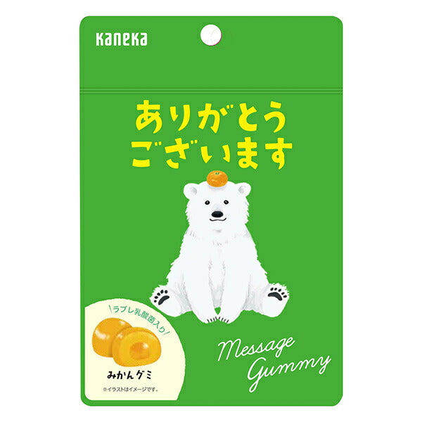 カネカ食品 メッセージグミ ありがとうございます みかん 40g袋×10袋入【日本出荷】
