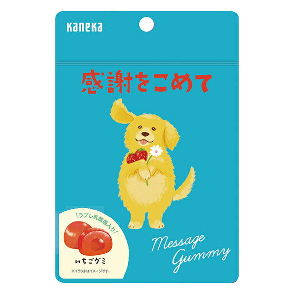 カネカ食品 メッセージグミ 感謝をこめて いちご 40g袋×10袋入【日本出荷】