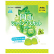 カネカ食品 岡山シャインマスカット ラブレ 乳酸菌入りゼリー 154g(22g×7個)×20袋入【日本出荷】