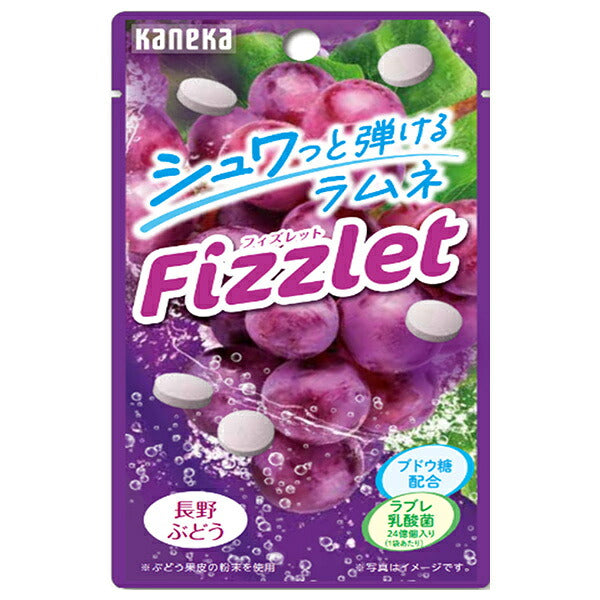 カネカ食品 Fizzlet 長野ぶどう 16g×10袋入【日本出荷】