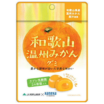 Kaneka Foods Wakayama Wenzhou Mikan Gummy with Labre Lactic Acid Bacteria 40g x 10 bags [Shipped in Japan]