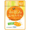 Kaneka Foods Wakayama Wenzhou Mikan Gummy with Labre Lactic Acid Bacteria 40g x 10 bags [Shipped in Japan]