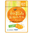 カネカ食品 和歌山温州みかんグミ ラブレ乳酸菌入 40g×10袋入【日本出荷】