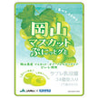 Kaneka Foods Okayama Muscat Soft Gummy Candy with Labre Probiotic 40g x 10 Bags [Ships from Japan]
