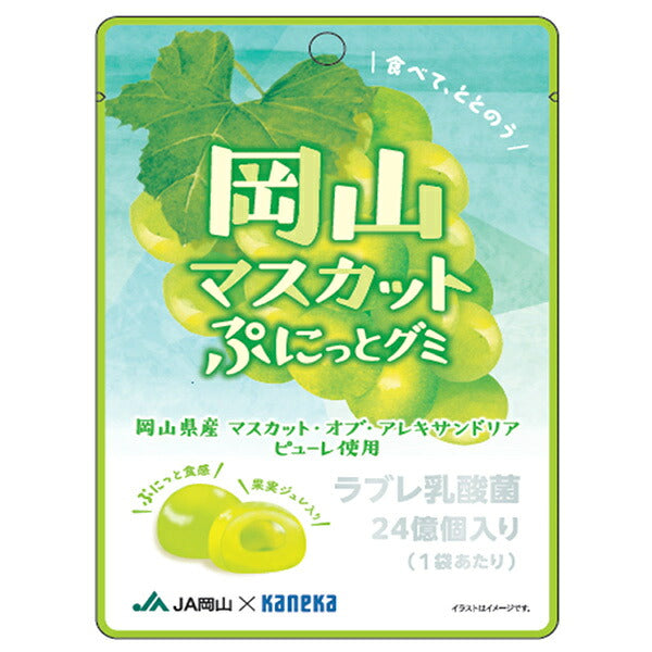 Kaneka Foods Okayama Muscat Soft Gummy Candy with Labre Probiotic 40g x 10 Bags [Ships from Japan]