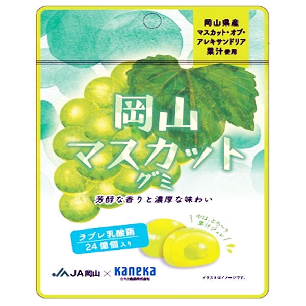 Kaneka Foods Okayama Muscat Gummy Labre Lactic Acid Bacteria 40g x 10 bags [Shipped in Japan]