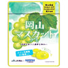 Kaneka Foods Okayama Muscat Gummy Labre Lactic Acid Bacteria 40g x 10 bags [Shipped in Japan]