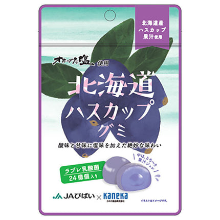 Kaneka Foods Hokkaido Haskap Gummy with Labre Lactic Acid Bacteria 40g x 10 bags [Shipped in Japan]