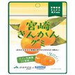 Kaneka Foods Miyazaki Kinkan Gummy with Labre Lactic Acid Bacteria 40g x 10 bags [Shipped in Japan]