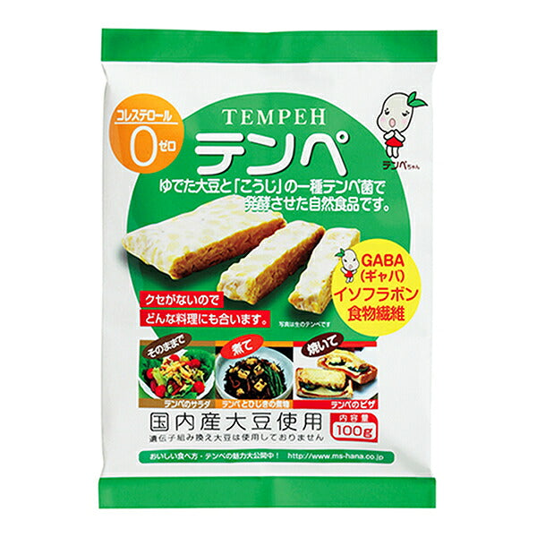 マルシン食品 テンペ 100g×10個入【日本出荷】
