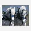 POWER AND GRACE Canvas Print