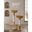 Solid Wood Cat Tree, Climbing Frame & Cat Bed All-in-One – Sisal Cat Tower
