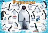 Eurographics Puzzles Canada - Penguins - Premium Quality