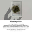 Abib Mild Acidic pH Sheet Mask Jericho Rose 30ml