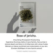 Abib Mild Acidic pH Sheet Mask Jericho Rose 30ml
