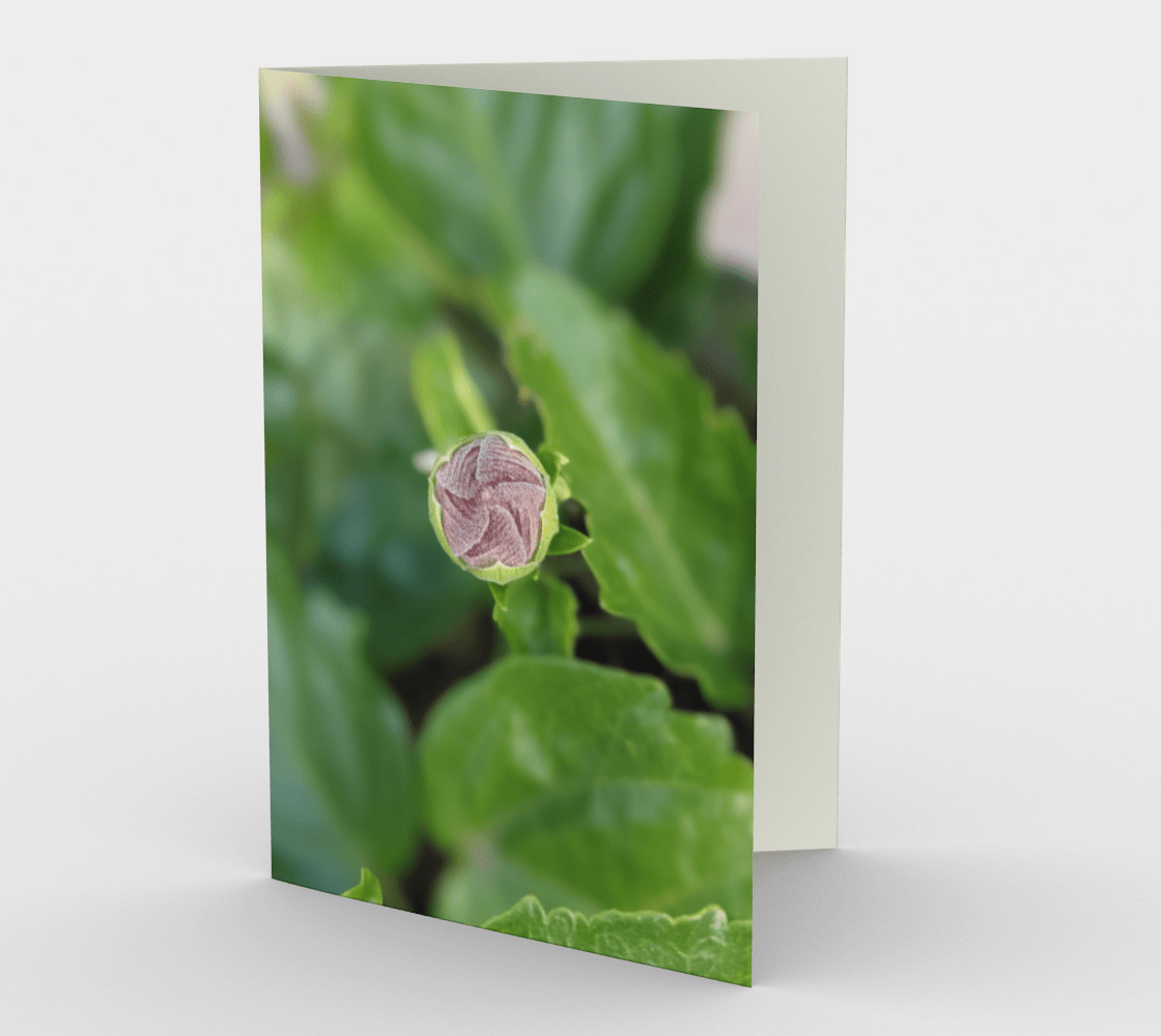 Set of 3 Blank Greeting Cards | 5 x 7 | Bud