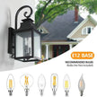 Large Outdoor Wall Light With Glass Supports Many Types Of Bulbs In 1 Pack