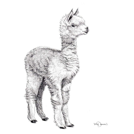 Adorable  alpaca - art print