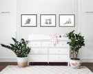 Adorable Baby Raccoon - Black and White Nursery Wildlife Art Print