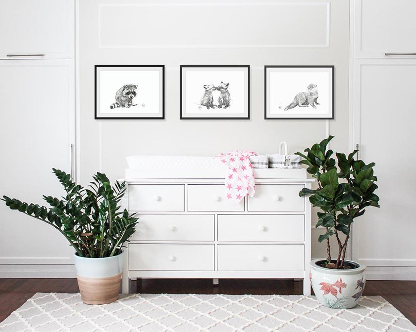 Adorable Baby Raccoon - Black and White Nursery Wildlife Art Print