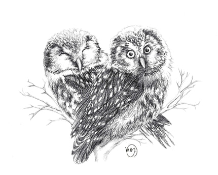Adorable Owls in love - art print