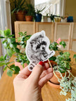 Adorable Raccoon Magnet